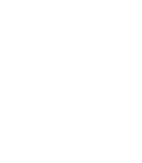 Skye Studio Logo